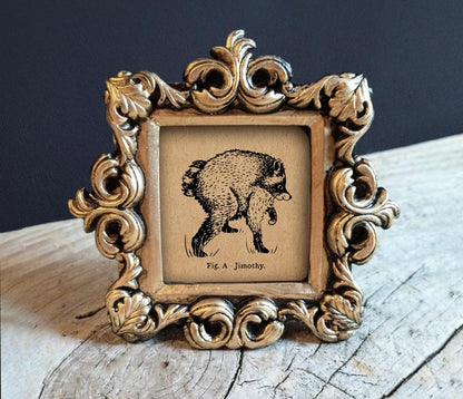 💥 Last Day 49% OFF – Jimothy Viral Raccoon Artwork