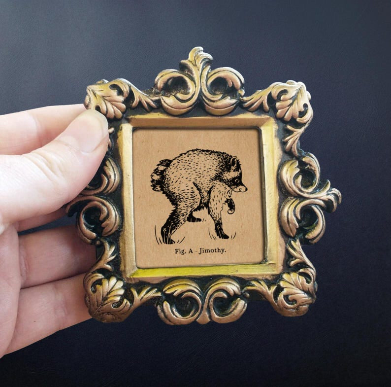💥 Last Day 49% OFF – Jimothy Viral Raccoon Artwork
