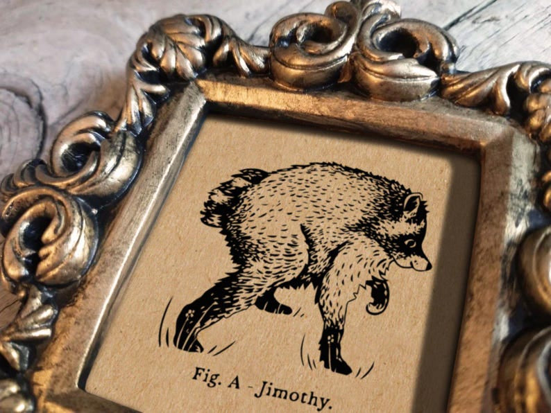 💥 Last Day 49% OFF – Jimothy Viral Raccoon Artwork